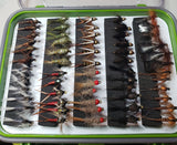 Silvereye Super Nymph Collection -Fly Fishing Trout Flies Silvereye Flies 
