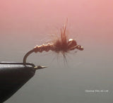 Brassie Nymph (3) - Silvereye Flies & Tackle
