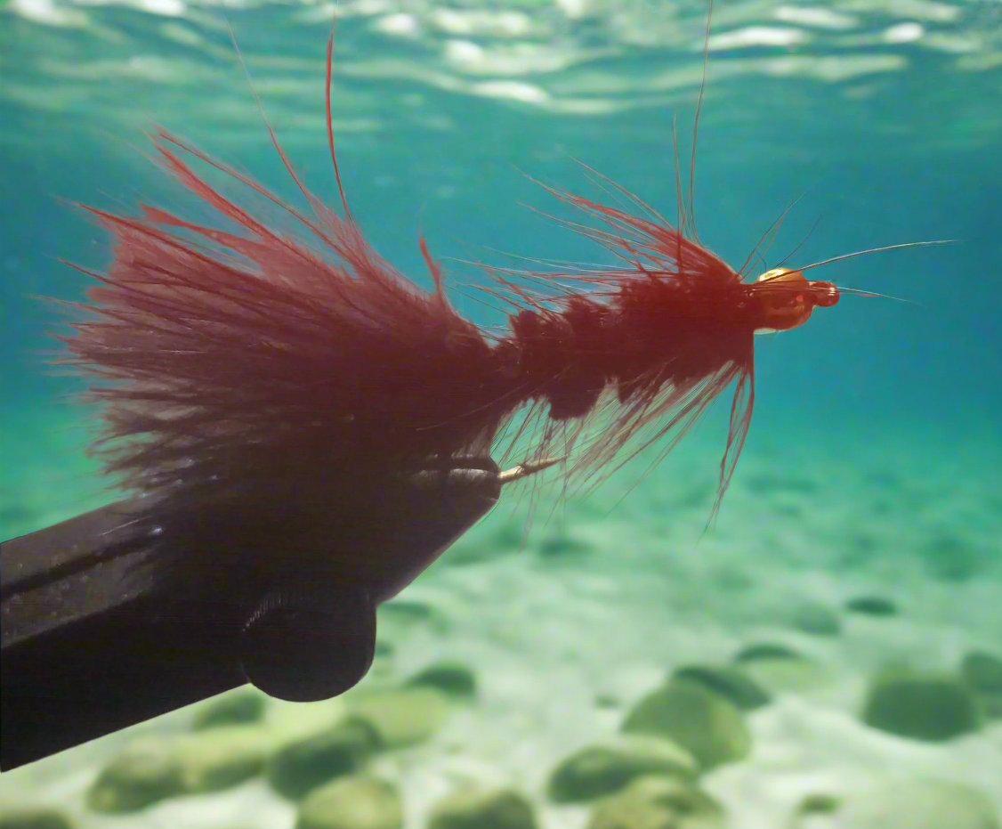 BuggerBlackGB_InPixio_8bdfc2ce-6c05-4bdc-94e2-97b1ad53355c_1200x1200 ...