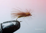 CDC Adult Caddis Custom-tied Dozen - Silvereye Flies & Tackle