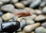 Cicada Custom-tied Dozen - Silvereye Flies & Tackle