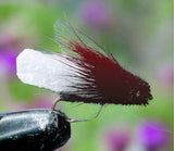 Cicada (3) - Silvereye Flies & Tackle