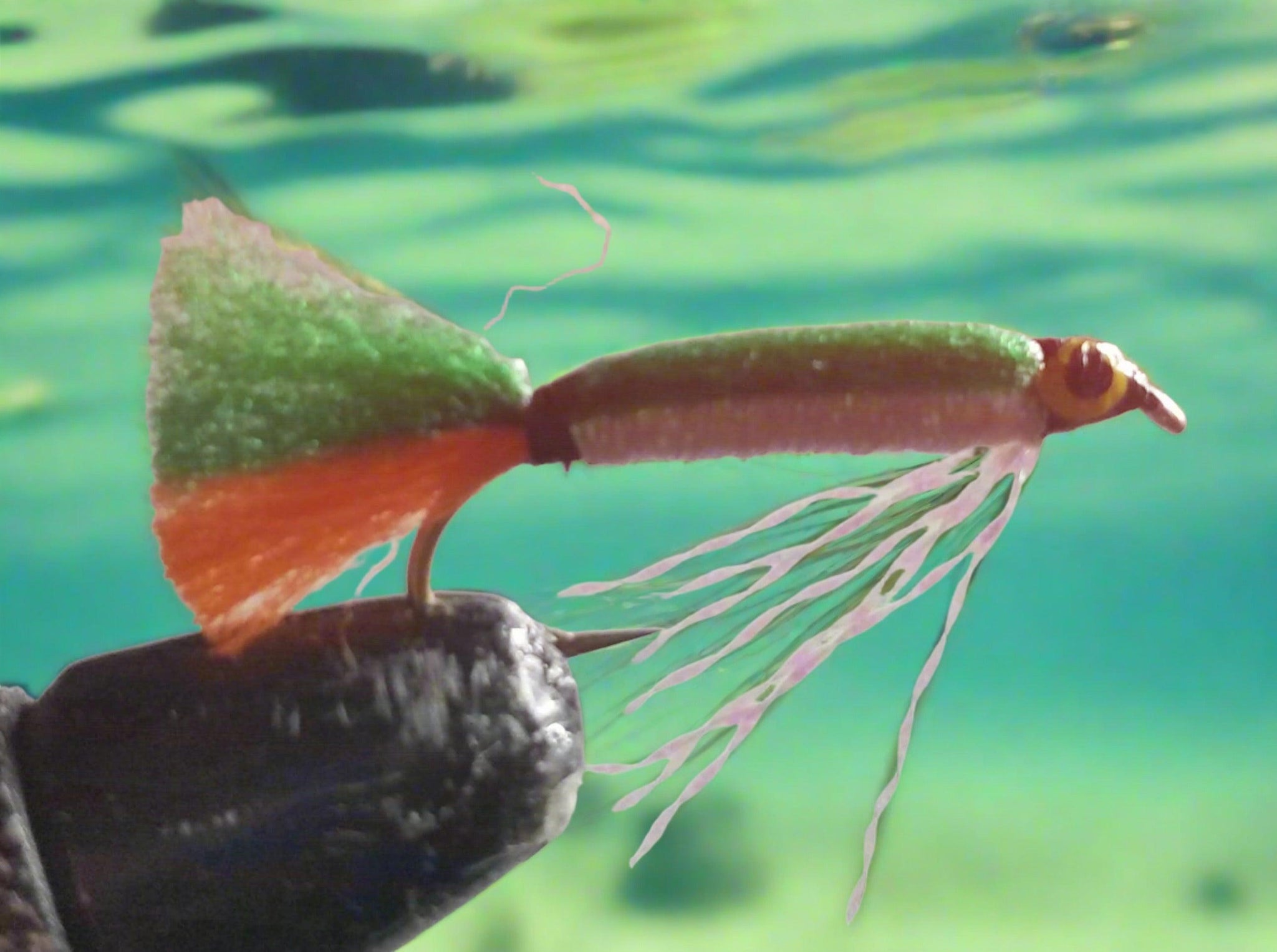 doll fly fishing lure Doll Flies Custom-tied Dozen
