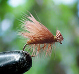 Elk Hair Caddis (3) - Silvereye Flies & Tackle