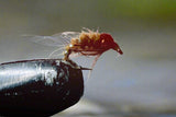 Holy Grail (3) - Silvereye Flies & Tackle