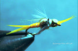 Stonefly Nymph (3) - Silvereye Flies & Tackle