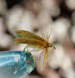 Custom-tied Lots. 10 Dozen Flies - Silvereye Flies & Tackle