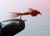 Pheasant Tail (3) - Silvereye Flies & Tackle