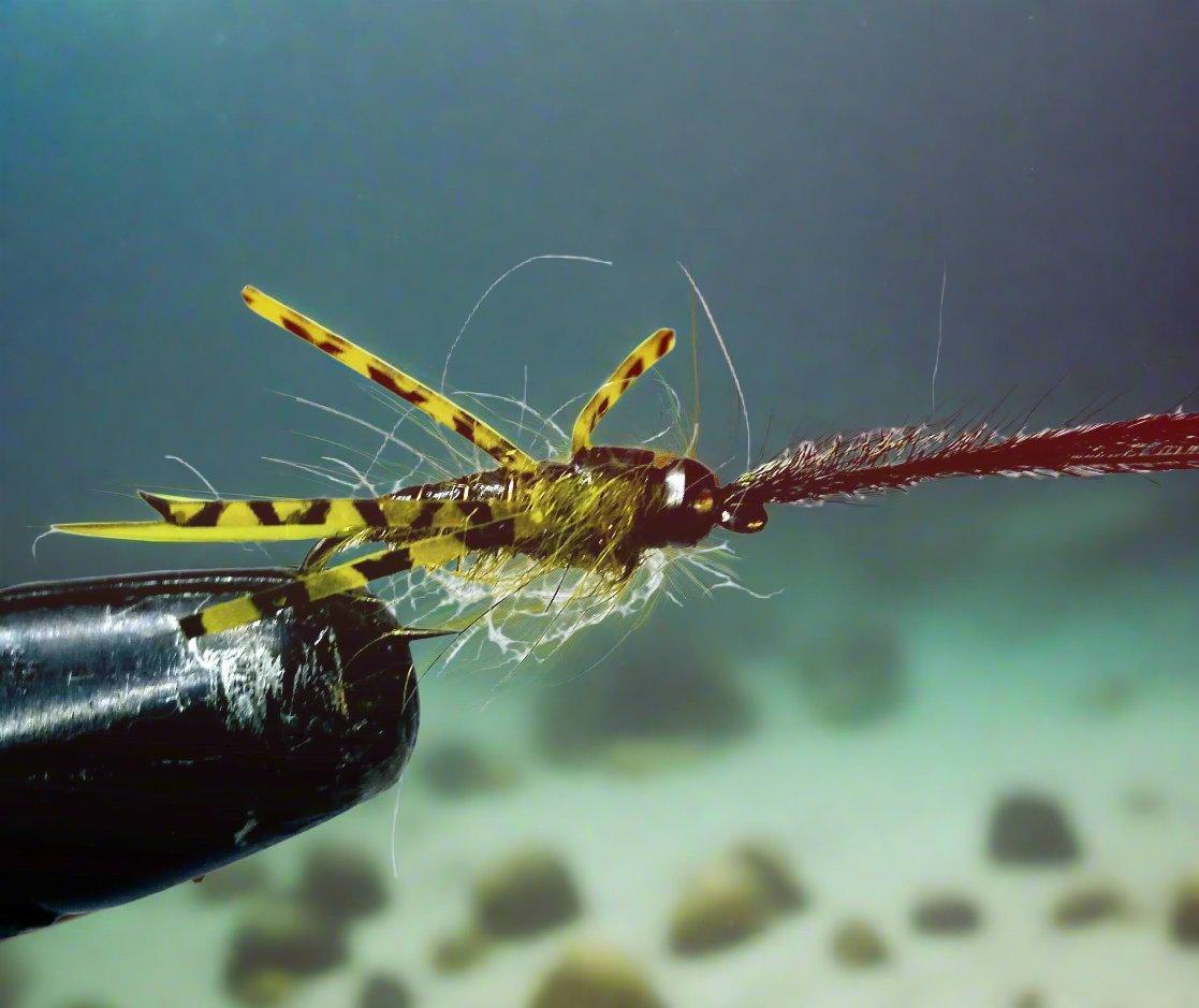 Skwala Stone Custom-tied Dozen