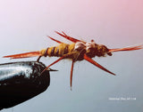 Stonefly Nymph (3) - Silvereye Flies & Tackle